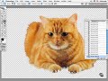 VTC Photoshop Tutorial - Extracting Subjects pt. 2