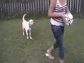 Buddy 07 2008