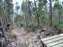 ribeiro a meter eucalipetox a baixo...na pista d alombada