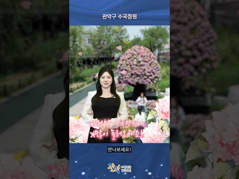 산 안 타고 관악산 정상 표지석+수국 인생샷 건지는 법이 있다? | [관악구 수국정원] - 관악 별별뉴스 이미지