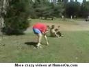 golf fun golf fun