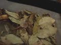 Gaboon Viper Feeding Gaboon Viper Feeding
