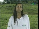 Produção de búfalo leiteiro Produção de búfalo leiteiro