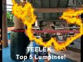 Fairtex Top Nakmuay Highlight!