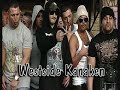 Kriminelle Ausländer und Nazis !!!