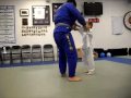 Kids Martial Arts And Activities in Naples , Fort Myers FL: Third Law BJJ, MMA, Kickboxing