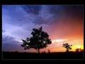 Before Dawn - Isaac Shepard