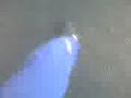 dummfrager-sassi.html