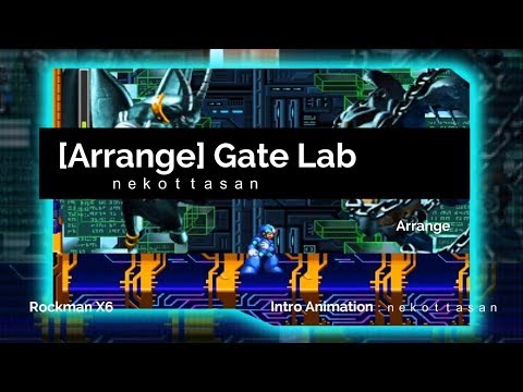 動画