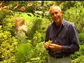Virginia Farm Bureau - In The Garden - Pest control Virginia Farm Bureau - In The Garden - Pest control