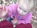 MOV052