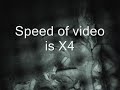 Basilisk Lizard Video - Pazuzu - Jebus Christ Lizard Basilisk Lizard Video - Pazuzu - Jebus Christ Lizard