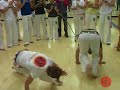 Batizado '08 - Mindinho