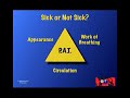 Pediatric Assessment Triangle