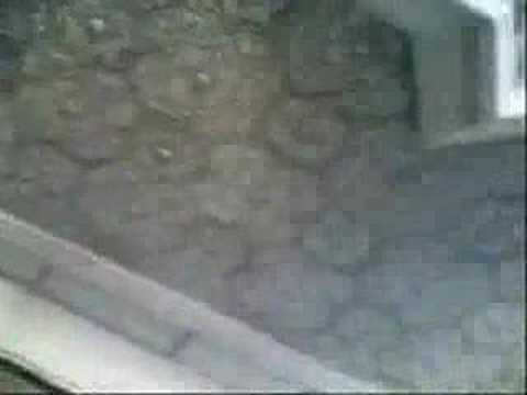 See video See video