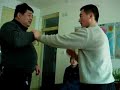 taiji tuishou laoliulu