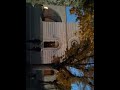 video1.mov Video