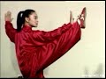 Tai-Chi-Chuan - Forma Mista em 48 Movimentos