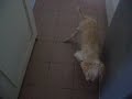 20080928?????(1)