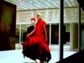 Alexander McQueen best coleccions (2)