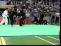 Pencak Silat Tribute