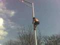 Climbing a 60 ft light pole