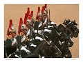 Trooping of the Colour THE QUEENS BIRTHDAY PARADE & Gun Run Trooping of the Colour THE QUEENS BIRTHDAY PARADE & Gun Run
