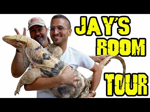 YouTube reptile video