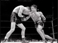 Boxing - Limited By Design - foto 1