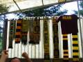 Bernauer Supporters Dynamo Dresden TEIL1