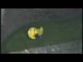 Culture Show - Land Art 2/2