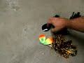 Dominatrix and Booty Tail Musky Bucktails Paint Durability  www.gruntmuskielures.com