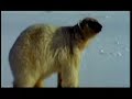 aquecimento global   caos no clima 5