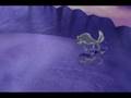videos de balto triple threat