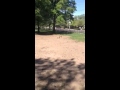 Lyel catching a frisbee
