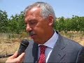 Beni confiscati alla mafia tra Cattolica Eraclea e Ribera
