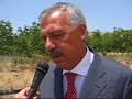 Beni confiscati alla mafia tra Cattolica Eraclea e Ribera