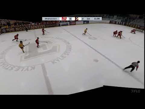 Blocked Shot and Breakaway Goal