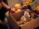 adieu winnie!!!