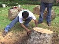 10-13 Alex Tree Service 713-467-3025 Houston Trimming Remove