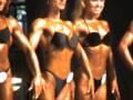 tribute to Montse Ventura