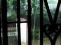 Monsoon Kerala