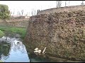 Le mura di Treviso.