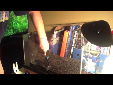 how to set up fluval spec v