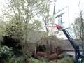 catrell boyd dunking 3