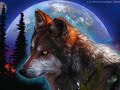 Wolf AMV