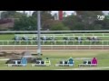Video for date geelong cup 2013