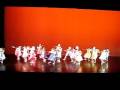 videos de dansuppvisning 2008 - showdance - you can't stop the beat