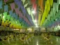 "REVELA��O JUNINA" - MISS CAIPIRA & DAN�A