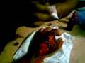 videos de ian's crazy ink!!!  6: the power of imagination